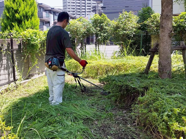 賃貸アパート・マンションの管理・メインテナンス、建物まわりの除草・植栽剪定のイメージ画像、除草中の写真