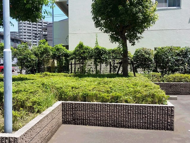 賃貸アパート・マンションの管理・メインテナンス、建物まわりの除草・植栽剪定のイメージ画像、除草後の写真2