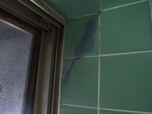 浴室の壁面をリニューアル　施工前画像