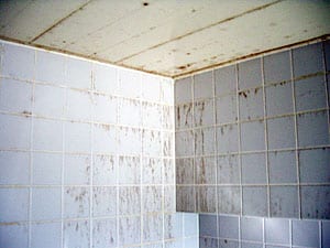 原状回復工事、浴槽・浴室水回り専用特殊塗装のイメージ画像、浴室/バスルーム施工前の写真